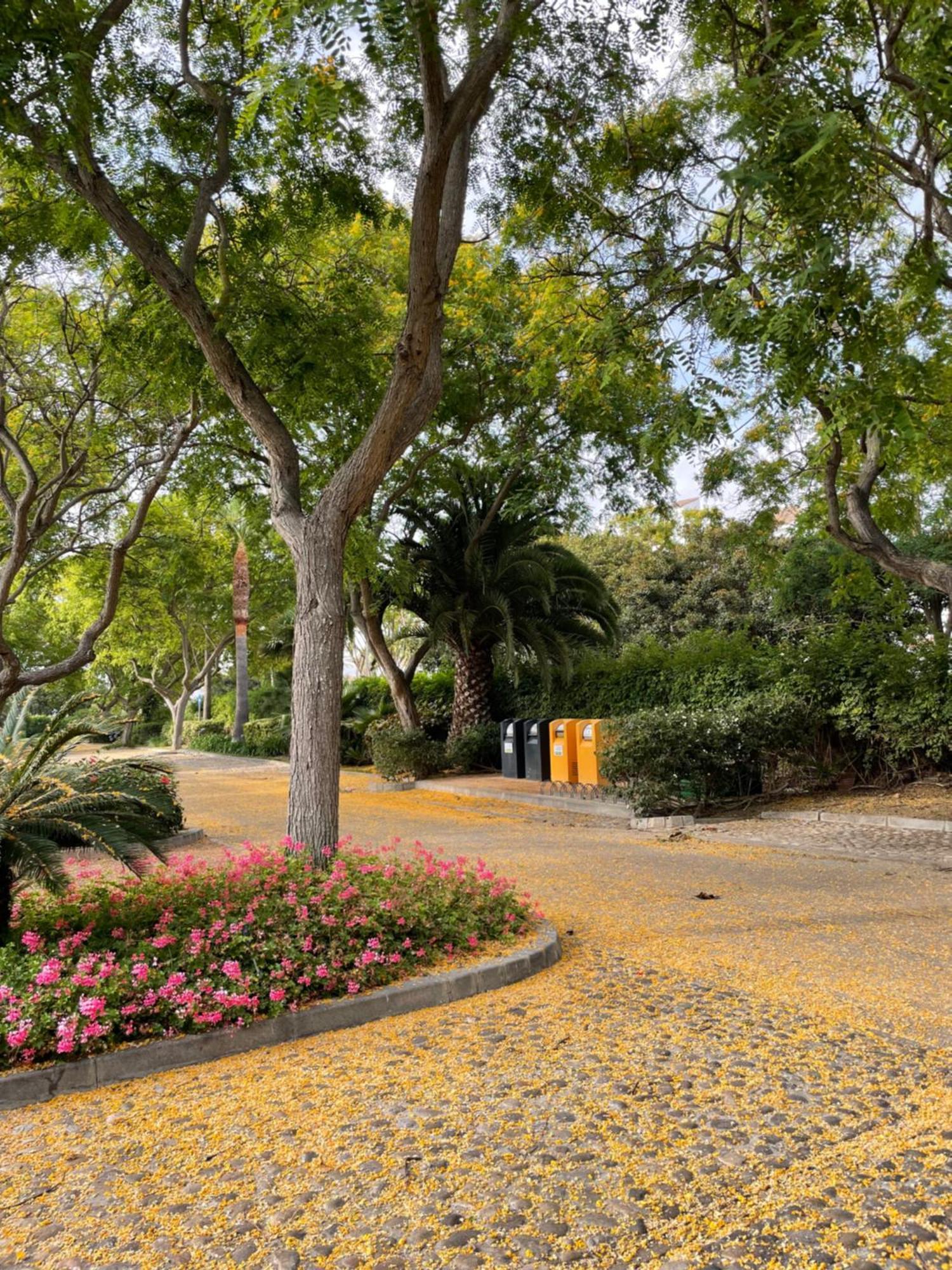 רוטה Relax&Sunset Appartement Costa Ballena מראה חיצוני תמונה