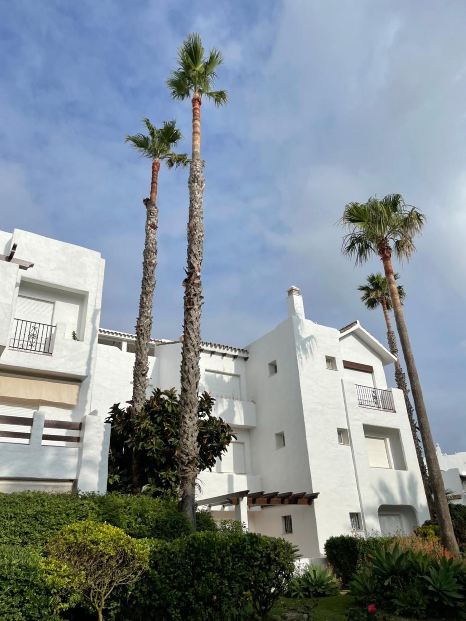 רוטה Relax&Sunset Appartement Costa Ballena מראה חיצוני תמונה